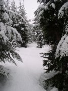 Ghost Ridge-Twin Lakes 028 